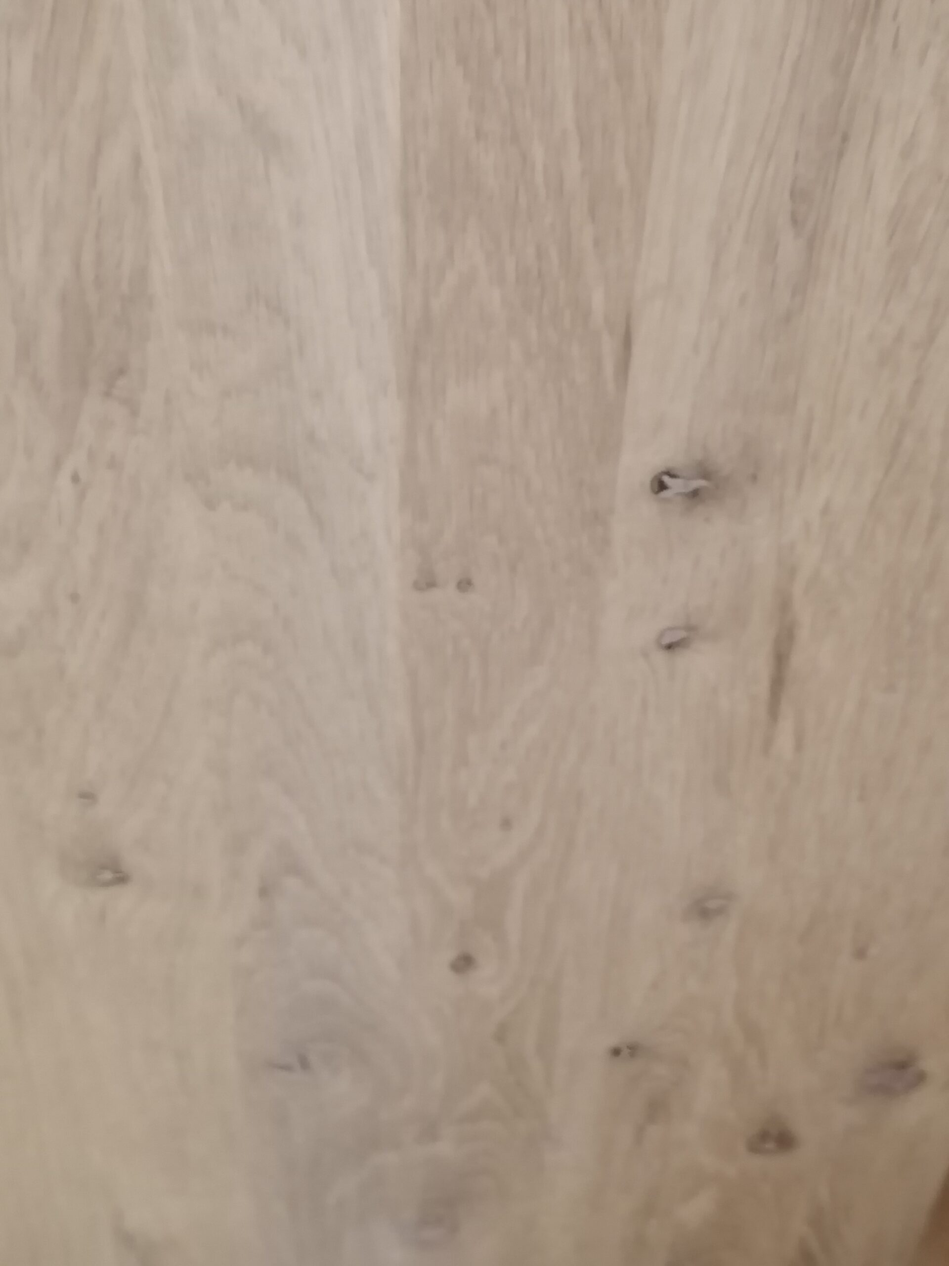 Stopnie dębowe w klasie BC - obrazek 7