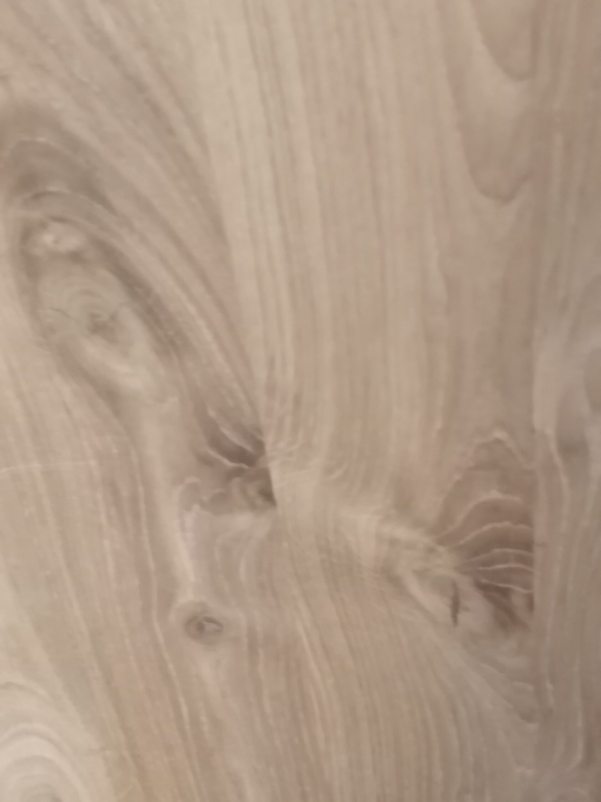 Stopnie dębowe w klasie BC - obrazek 10